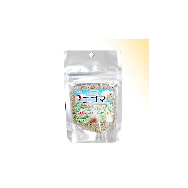 Rh錾 GS} RO [ybgt[h]