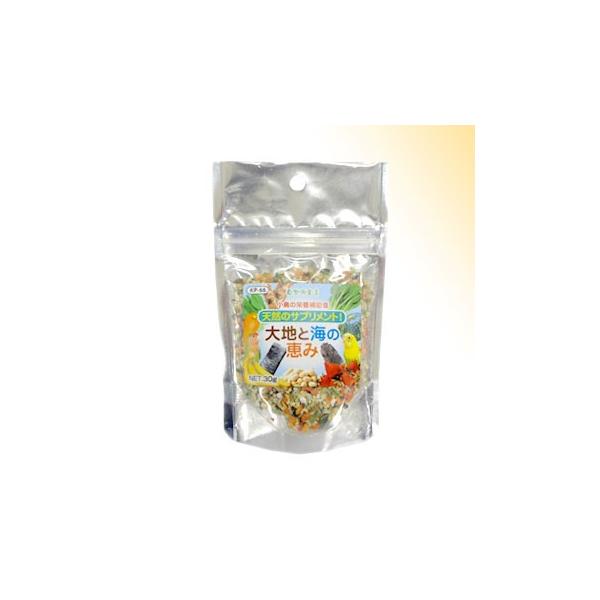 Rh錾 nƊČb RO [ybgt[h]