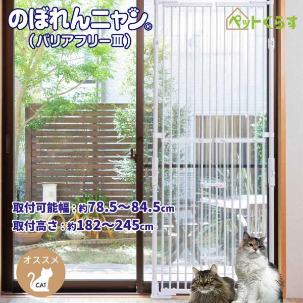 petkurasu_h1-532498 petkurasu_h1-532498