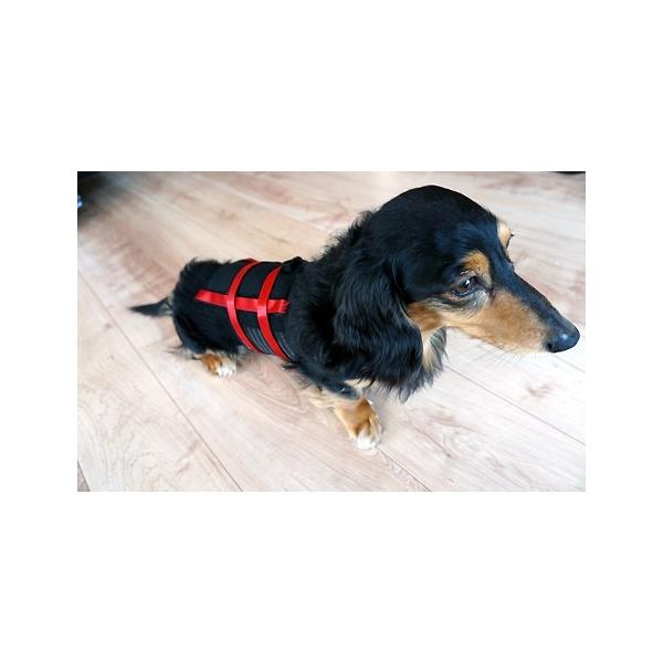 犬用コルセット 猫用コルセット サイズ 大 Buyee Buyee Japanese Proxy Service Buy From Japan Bot Online