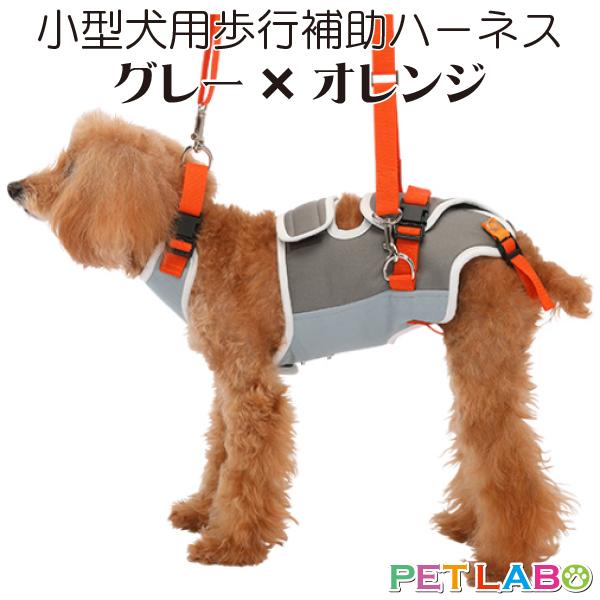【未使用】歩行補助ハーネス　小型犬用　LaLawalk Mサイズ Amazon | 犬 歩行補助ハーネス 介護 ハーネス 胴輪 LaLaWalk