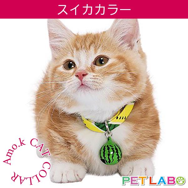 メール便発送OK!!　Amo.k(アモワークス)猫用首輪・スイカカラー　首輪 胴輪 ハーネス お散歩 お出かけ お洒落 おしゃれ かわいい