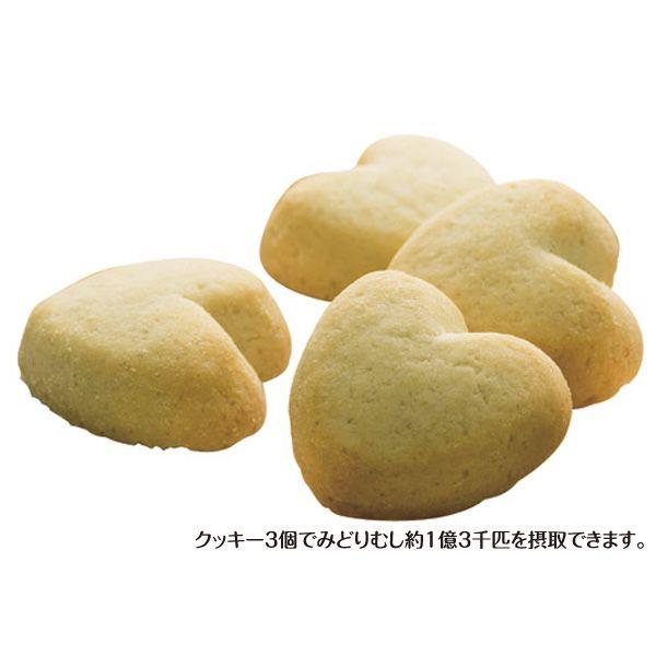 全犬種用サプリメントクッキー バイオザイムクッキー0g 100g 2 ミドリムシ ユーグレナ 健康 栄養 Buyee Buyee Japanese Proxy Service Buy From Japan Bot Online