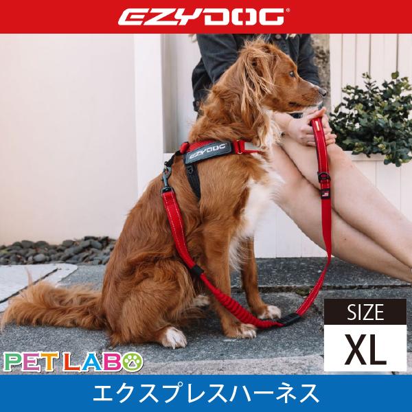 EZYDOG(イージードッグ) エクスプレスハーネス(XLサイズ) 犬用 胴輪
