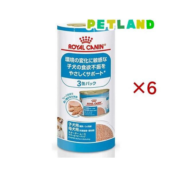  CANIN スタータームース 12×3セット ロイヤルカナン SHN ウェット スタータームース マザー＆ベビー