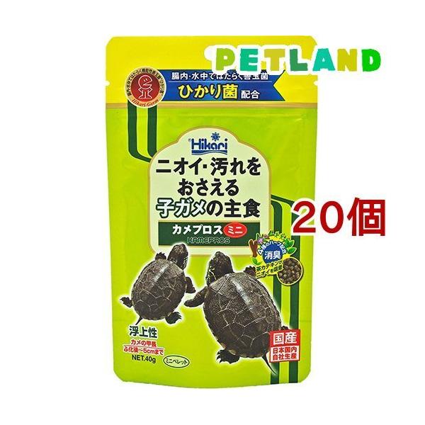 Ђ JvX ~j ( 40g*20RZbg )/ Ђ