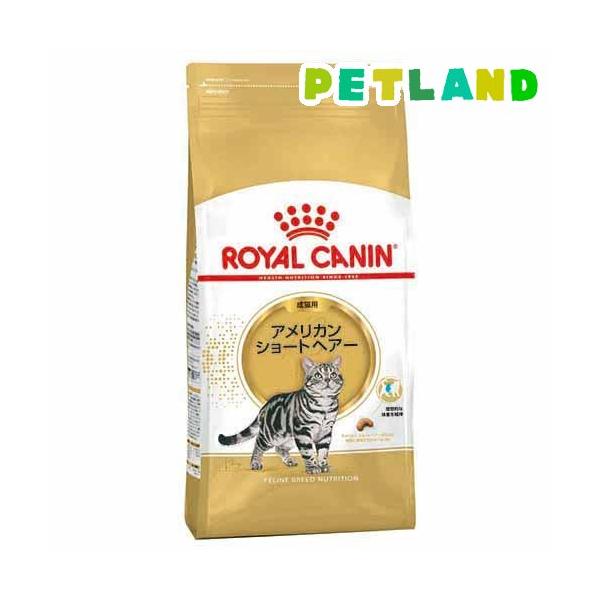  CANIN アメリカンショートヘアー 2kg+1 アメリカンショートヘアー（成猫用 ドライ） | Royal Canin JP