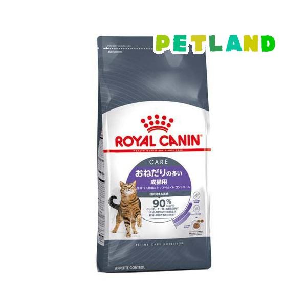 ロイヤルアルバート オルゴール 【 窓辺の猫】希少 ロイヤルアルバート オルゴール 【 窓辺の猫】希少 ロイヤルアルバート