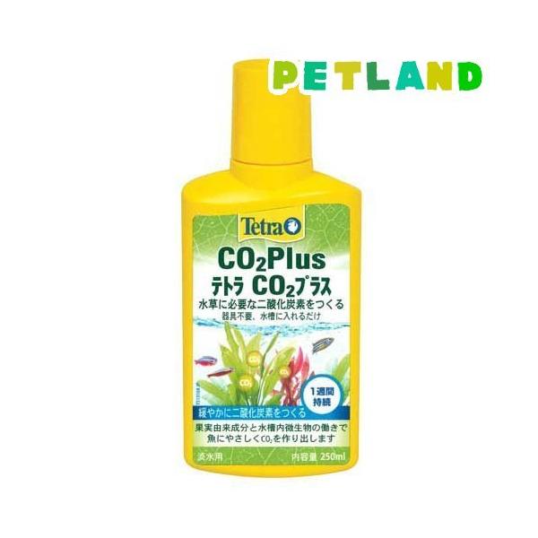 eg CO2 vX ( 250ml )/ Tetra(eg)