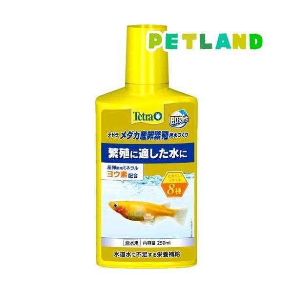 eg _JYɐBp ( 250ml )/ Tetra(eg)