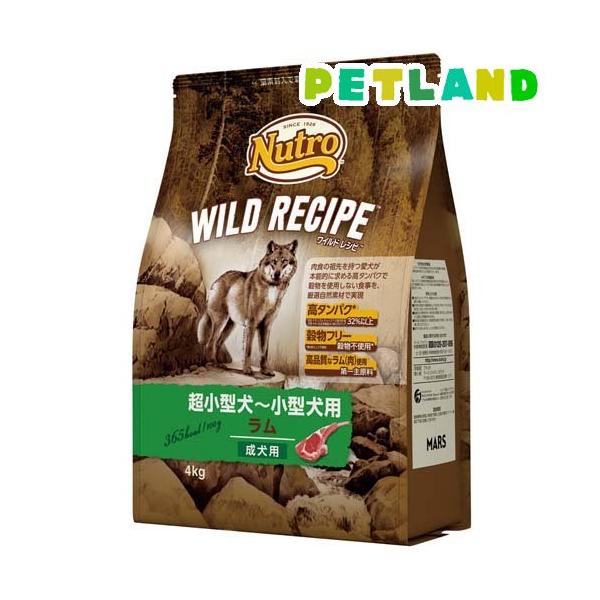petland_4562358788611 petland_4562358788611