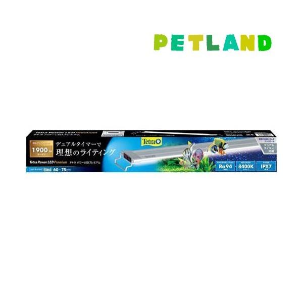 テトラ パワーLEDプレミアム60 ( 1コ入 )/ Tetra(テトラ 
