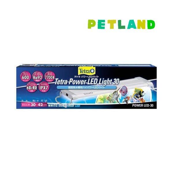 eg p[LEDCg 30 ( 1 )/ Tetra(eg)