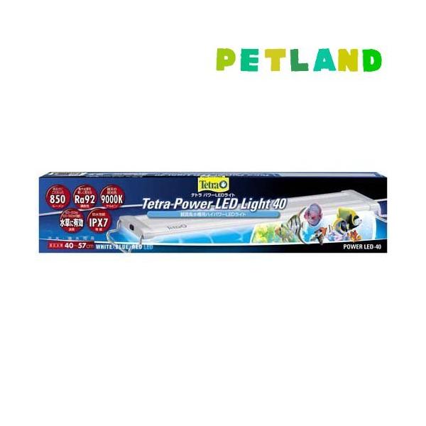 eg p[LEDCg 40 ( 1 )/ Tetra(eg)