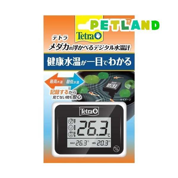 eg _Jׂ̕fW^v ( 1 )/ Tetra(eg)