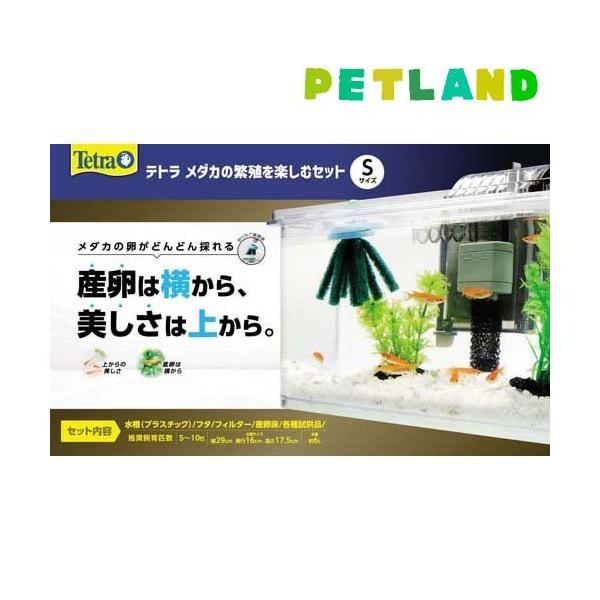 eg _J̔ɐByރZbg S ( 1Zbg )/ Tetra(eg)