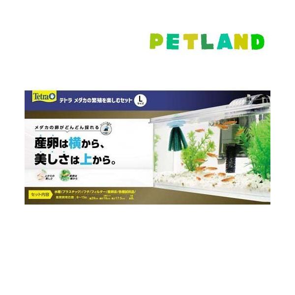 eg _J̔ɐByރZbg L ( 1Zbg )/ Tetra(eg)