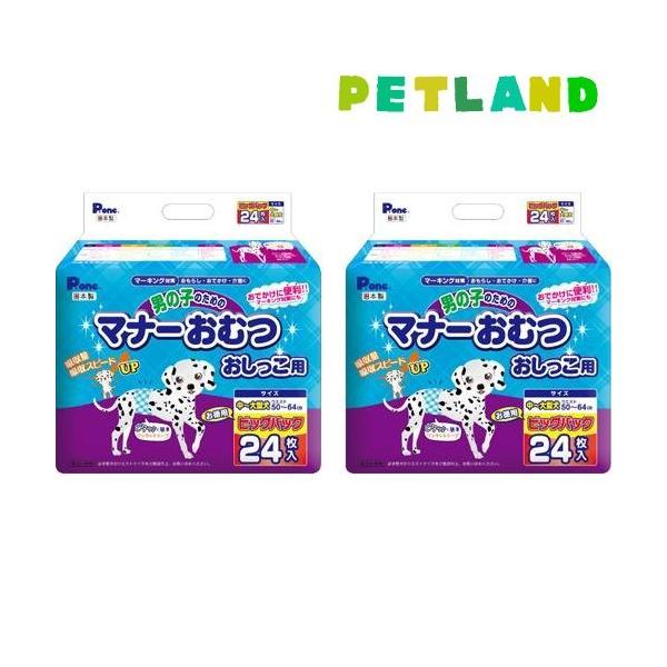 PE ʔ̗p j̎q̂߂̃}i[ނ p `^p ( 24*2 )/ PE(PEone)