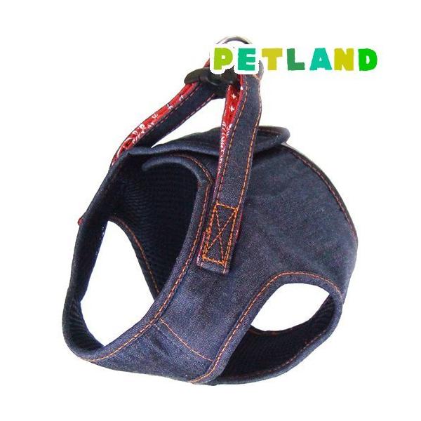 Rbgfj \tgn[lX lCr[ SS ( 1 )