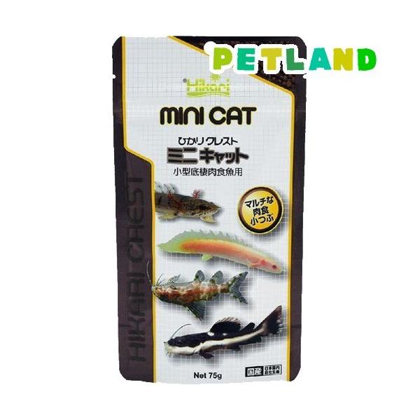 Ђ NXg ~jLbg ( 75g )/ Ђ