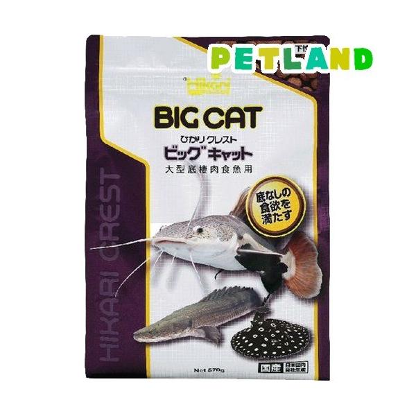 Ђ NXg rbOLbg ( 570g )/ Ђ