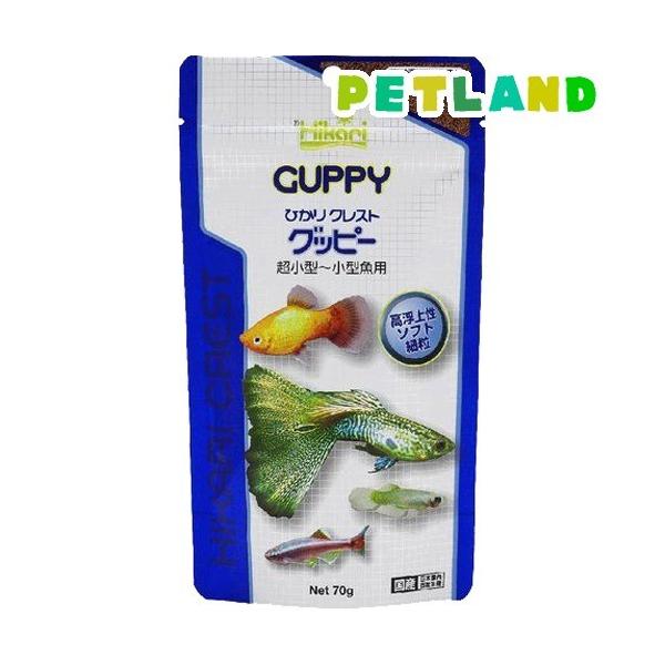 Ђ NXg Obs[ ( 70g )/ Ђ