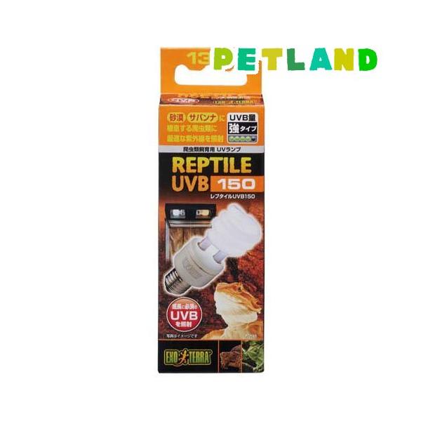エキゾテラ レプタイルUVB150 13W/小動物・鳥・は虫類・昆虫/ブランド：エキゾテラ/【発売元、製造元、輸入元又は販売元】GEX(ジェックス)/【エキゾテラ レプタイルUVB150 13Wの商品詳細】●砂漠・サバンナに棲息する爬虫類に...