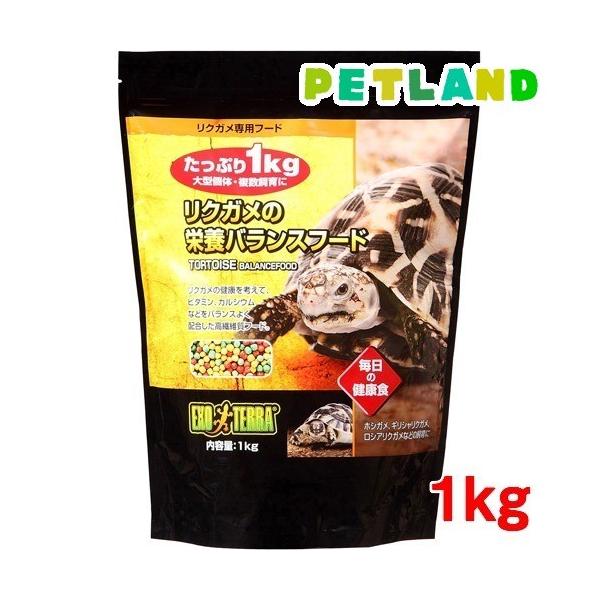 GL]e NK̉h{oXt[h ( 1kg )/ GL]e