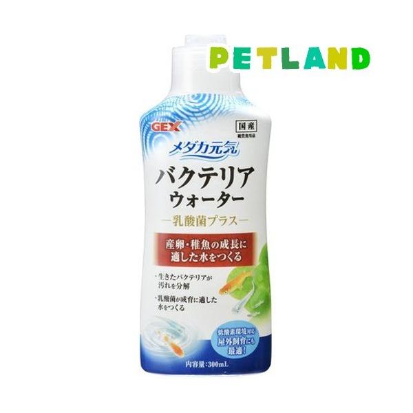 _JC oNeAEH[^[ ( 300ml )/ _JC