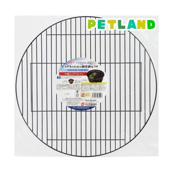 _JC _Ĵ߂̎甫pt^ ( 1 )/ _JC