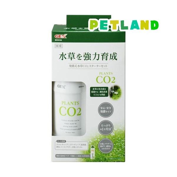 y CO2 X^[^[Zbg ( 1Zbg )