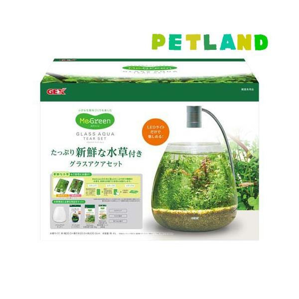 MeGreen 新鮮な水草付き グラスアクア ティアーセット ( 1セット