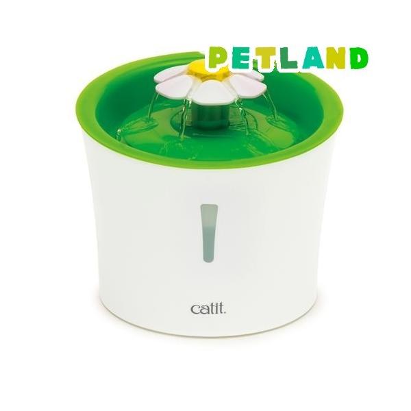 LeBbg t[t@EeN ( 1R )/ catit