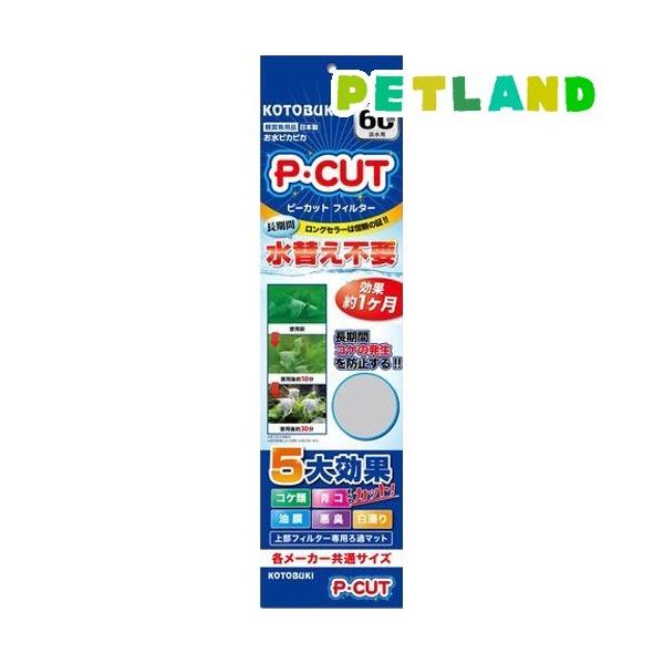 RguLH| PEJbg tB^[60 ( 1 )/ RguLH|