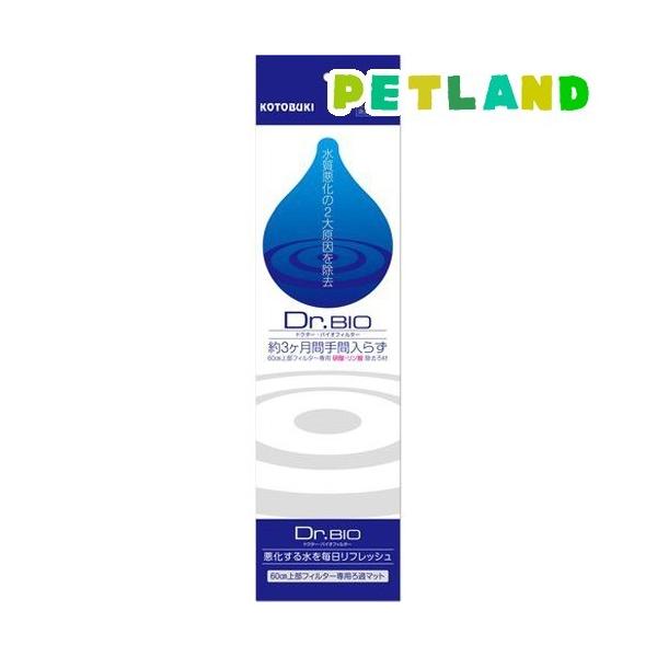 RguLH| hN^[oCItB^[60 ( 1 )/ RguLH|