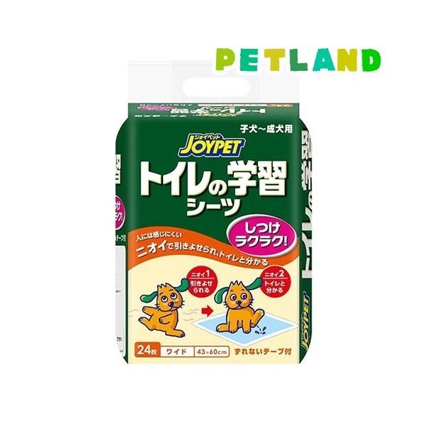 WCybg gC̊wKV[c Ch ( 24 )/ WCybg(JOYPET)