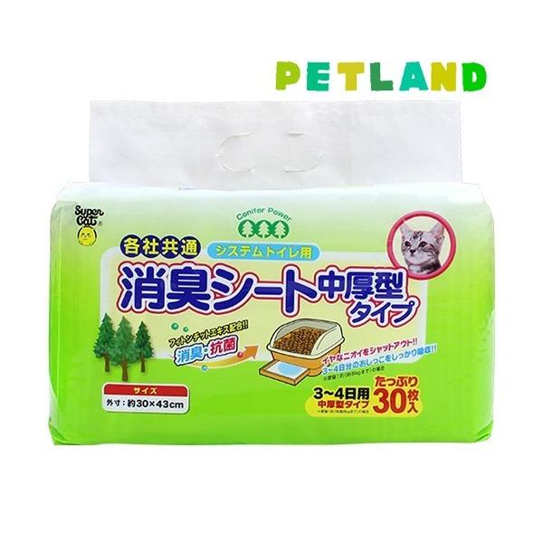 X[p[Lbg VXegCp LV[g ^^Cv ( 30 )/ X[p[Lbg