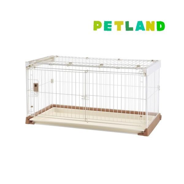 |ȒPybgP[W 1200 uE ( 1R )