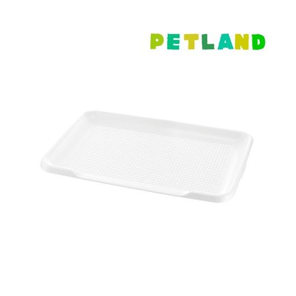 b`F |ȒPXebvg[ bV Ch ( 1R )/ b`F(ybg)