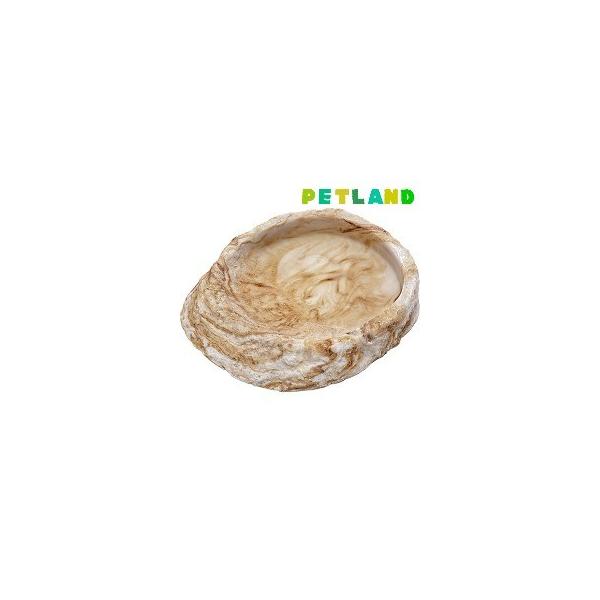 ���v�e�B�{�E�� 2 MF ( 1�R�� )