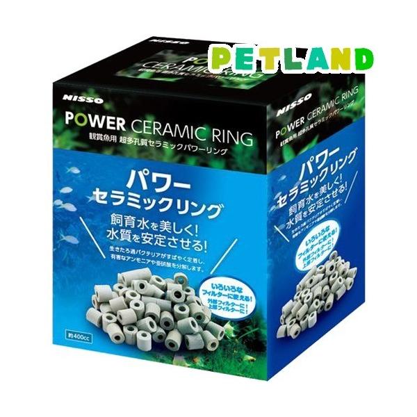 jb\[ p[Z~bNO ( 400cc )/ NISSO(jb\[)