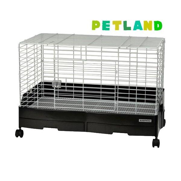 C[W[z[ G{80 BK WS ( 1 )/ C[W[z[