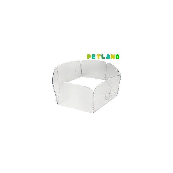 nX^[ WCgNA[T[N N02 ( 1R )/ WILD(Ch)