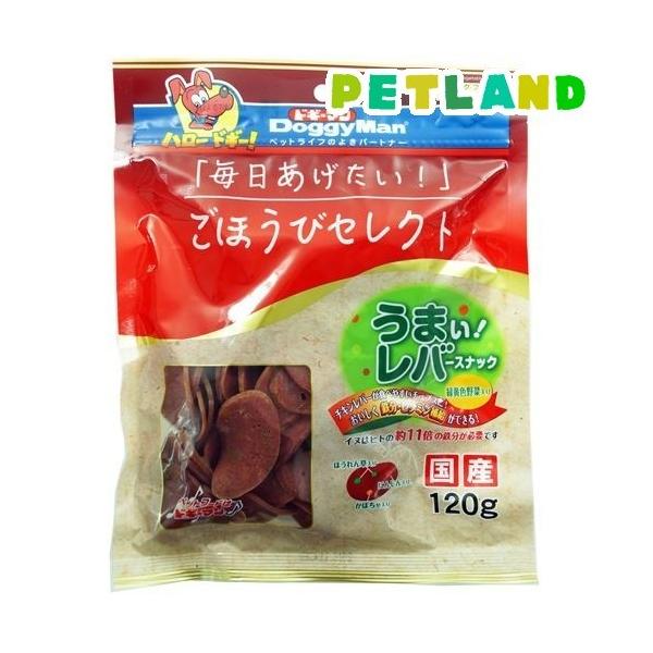 قуZNg ܂Io[XibN ΉFؓ ( 120g )/ hM[}(Doggy Man)