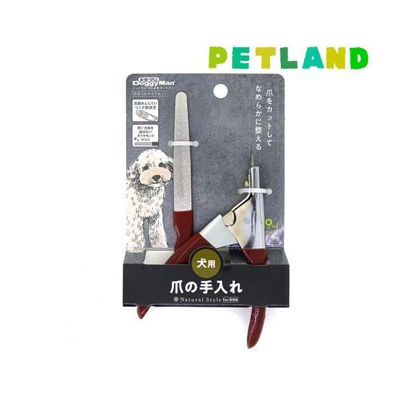 i`X^C ܐ؂聕XZbg p ( 1Zbg )/ i`X^C