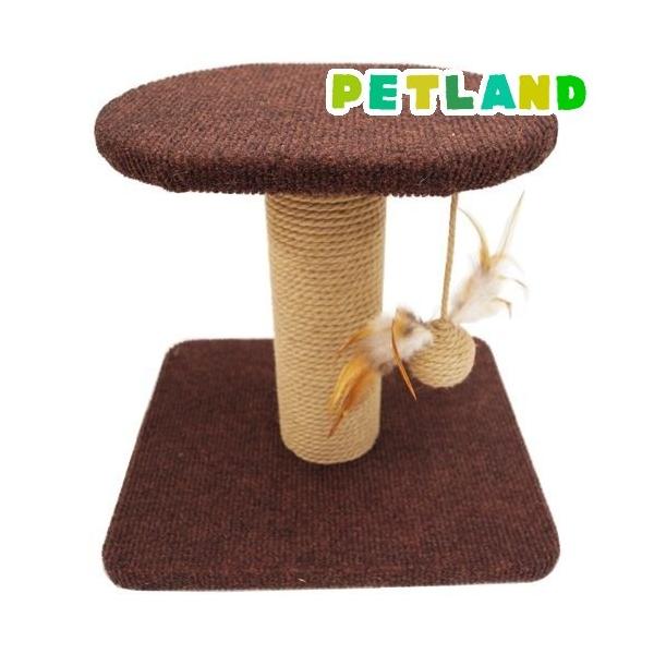 LeB[} _[ Qуxbh ( 1R )/ LeB[}