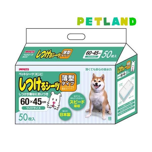 他サイト： しつけるシーツ 薄型タイプ ワイドサイズ ( 50枚入 )/ しつけるシーツの商品画像