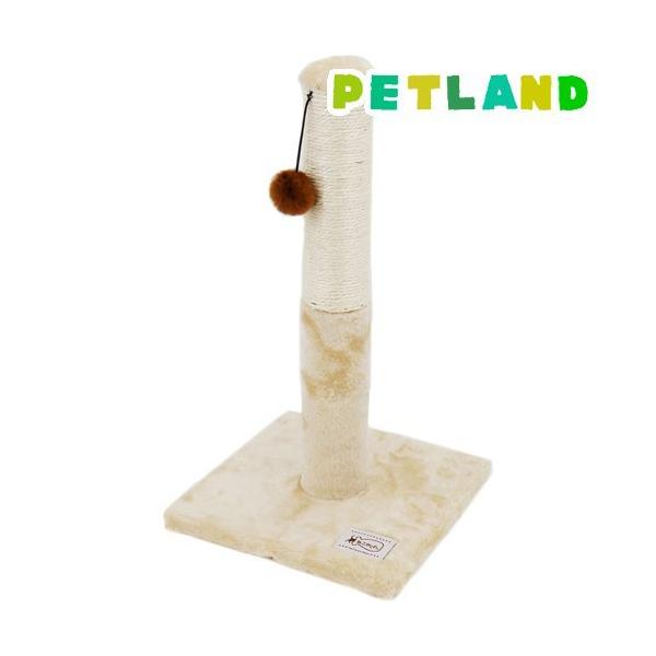 ˂ ˂D܂Ƃ Lbg^[ |[ ( 1 )