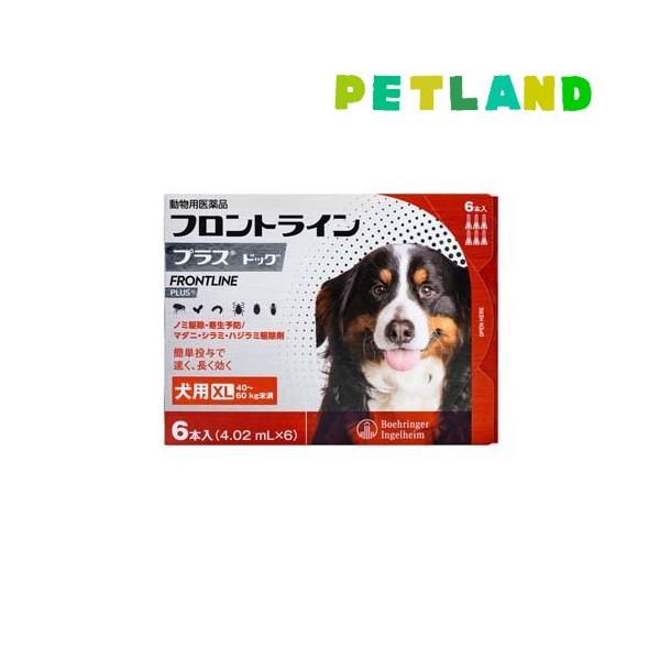 【動物用医薬品】フロントラインプラス 犬用 XL 40〜60kg未満(フロントライン フロントラインプラス frontline fronline ノミ のみ ダニ だに のみ取り ノミ取り のみとり ノミ捕り マダニ 犬 イヌ いぬ ドッグ...