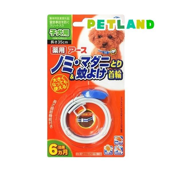 A[X p m~E}_jƂ聕悯 qp ( 1R )